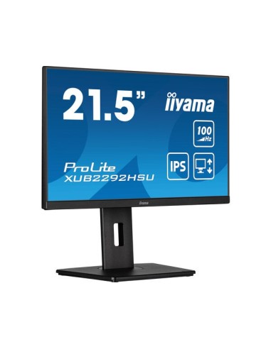 iiyama ProLite XUB2292HSU-B6 22" Negro Monitor