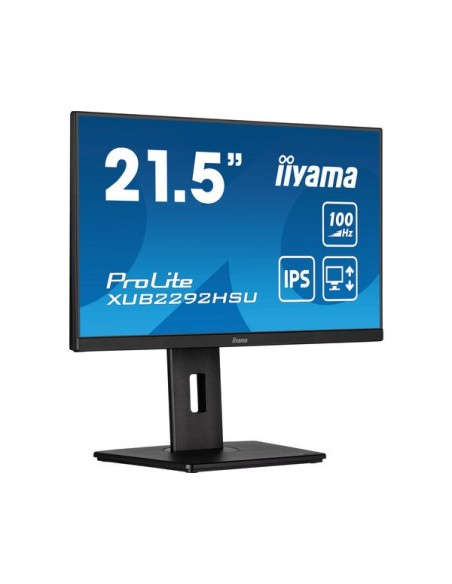 iiyama ProLite XUB2292HSU-B6 22" Negro Monitor