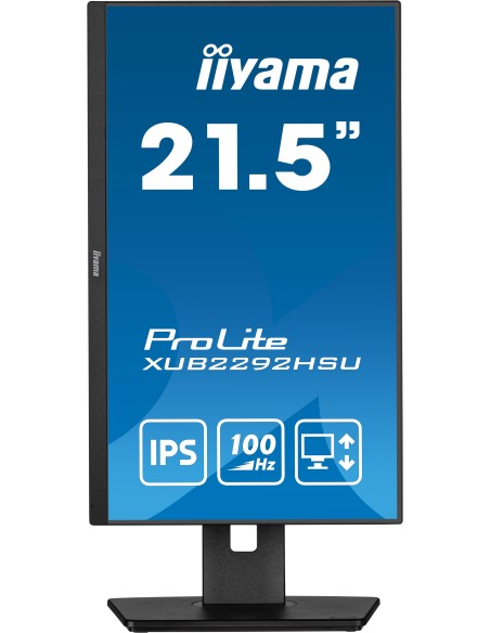 iiyama ProLite XUB2292HSU-B6 22" Negro Monitor
