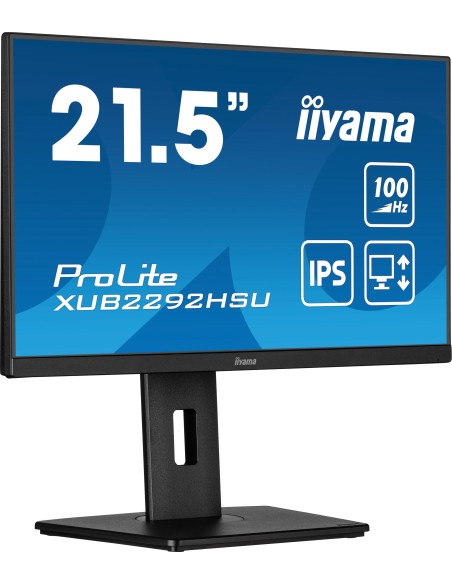 iiyama ProLite XUB2292HSU-B6 22" Negro Monitor