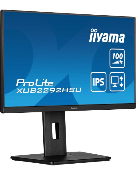 iiyama ProLite XUB2292HSU-B6 22" Negro Monitor
