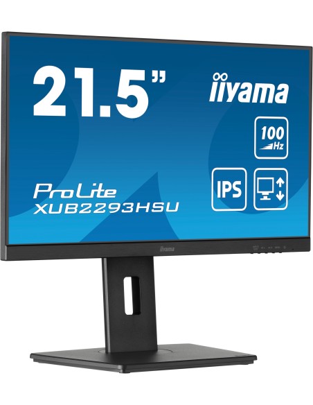 iiyama ProLite XUB2293HSU-B6 21.5" Full HD LED Negro
