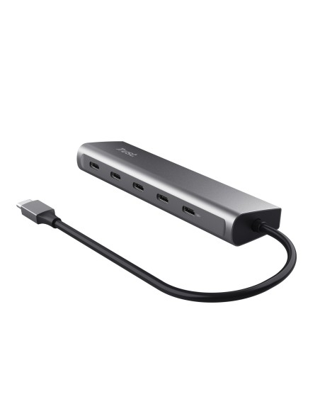 Trust Halyx USB 3.2 Gen 1 (3.1 Gen 1) Type-C Plata