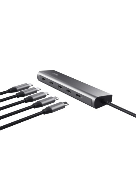 Trust Halyx USB 3.2 Gen 1 (3.1 Gen 1) Type-C Plata