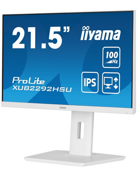iiyama ProLite XUB2292HSU-W6 21.5" 1920 x 1080 Pixeles Full HD LED Blanco Monitor
