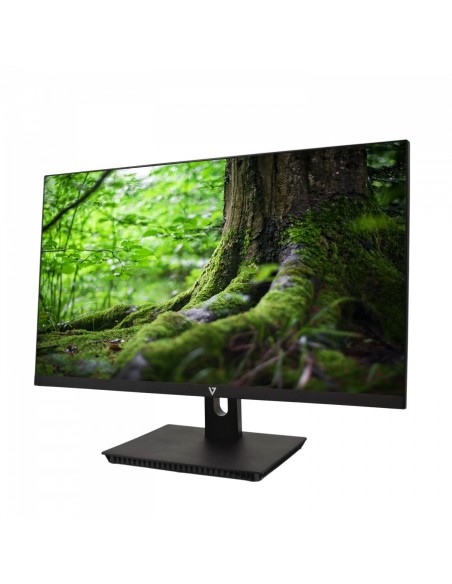V7 L238IPS-E pantalla para PC 60,5 cm (23.8") 1920 x 1080 Pixeles Full HD LED Negro