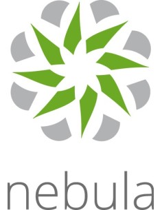 Zyxel LIC-NPRO-ZZ1Y00F licencia y actualización de software 1 licencia(s) 1 año(s)