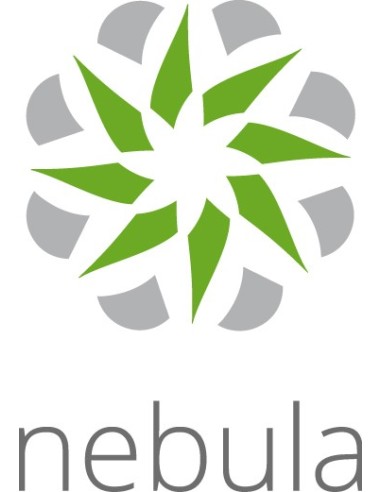 Zyxel LIC-NPRO-ZZ1Y00F licencia y actualización de software 1 licencia(s) 1 año(s)