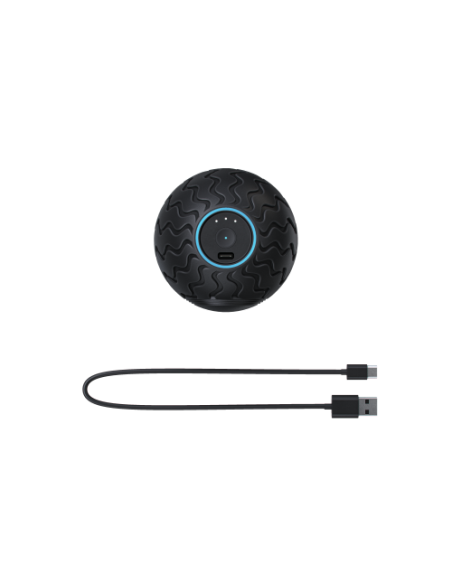 Theragun Wave Solo masajeador Universal Negro