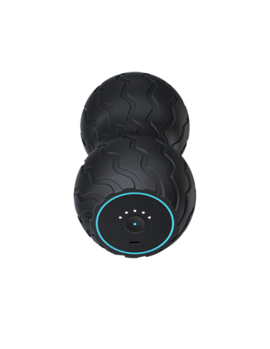 Theragun Wave Duo masajeador Universal Negro