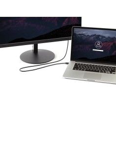 StarTech.com MDP2DPMM10 cable DisplayPort a mini DisplayPort - 3m Negro