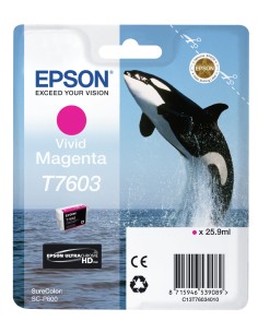CARTUCHO EPSON T7603 MAGENTA VIVO C13T76034010