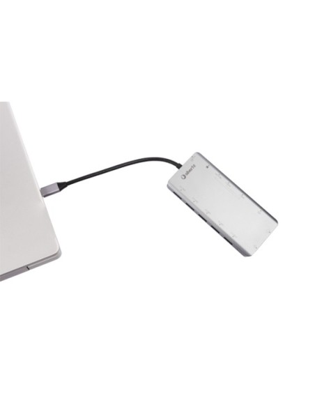 Hub USB-C Logan 13 en 1 8420738303587