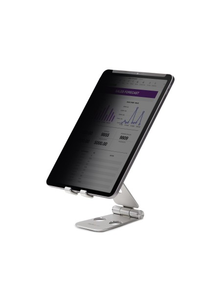 StarTech.com Filtro de Privacidad Táctil de 4 VÍ­as para Orientación Horizontal Vertical + -30º Anti Luz (51%) Mate para iPad Pr