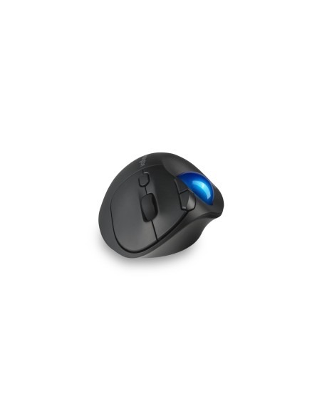 Kensington Pro Fit Ergo TB450 ratón mano derecha RF Wireless + Bluetooth Trackball 1600 DPI