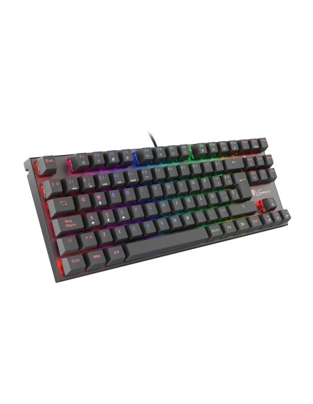 GENESIS Thor 300 TKL RGB teclado USB QWERTY Español Gris