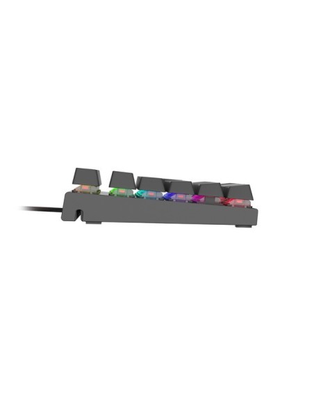 GENESIS Thor 300 TKL RGB teclado USB QWERTY Español Gris
