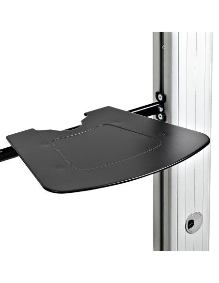 StarTech.com STNDMTVDUO soporte para TV 152,4 cm (60") Negro, Plata