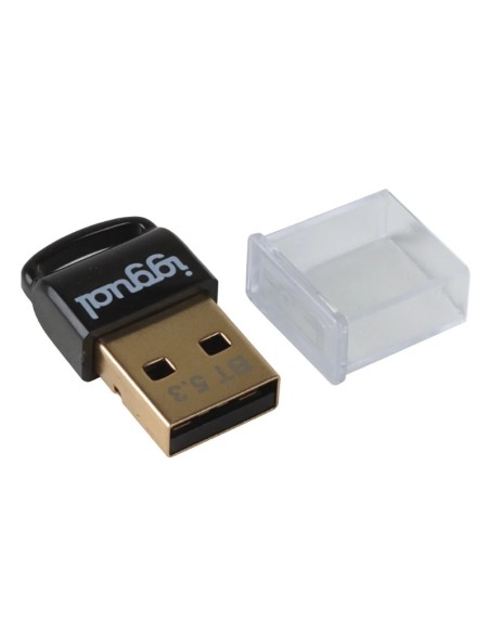 iggual Adaptador USB 2.0 mini Bluetooth 5.3