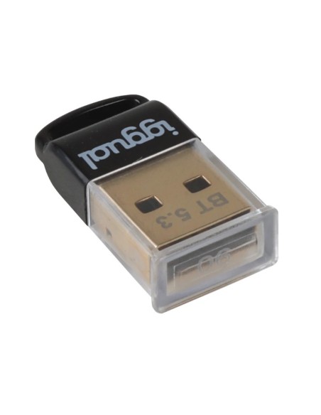 iggual Adaptador USB 2.0 mini Bluetooth 5.3
