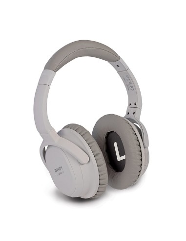 Lindy LH500XW Auriculares Inalámbrico y alámbrico Diadema Llamadas Música MicroUSB Bluetooth Gris