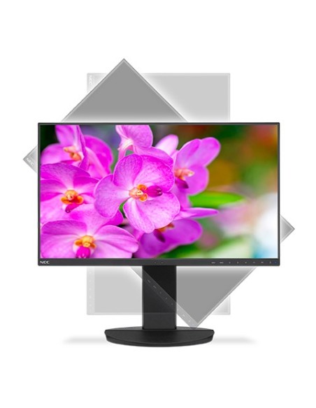 Monitor NEC MultiSync EA241F-BK 1920 x 1080 Pixeles Full HD 24P LED Negro