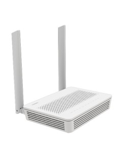 TERMINAL ECHOLIFE EG8145V