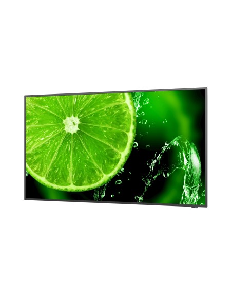 NEC MultiSync E658 165,1 cm (65") IPS 350 cd   m² 4K Ultra HD Negro 16 7