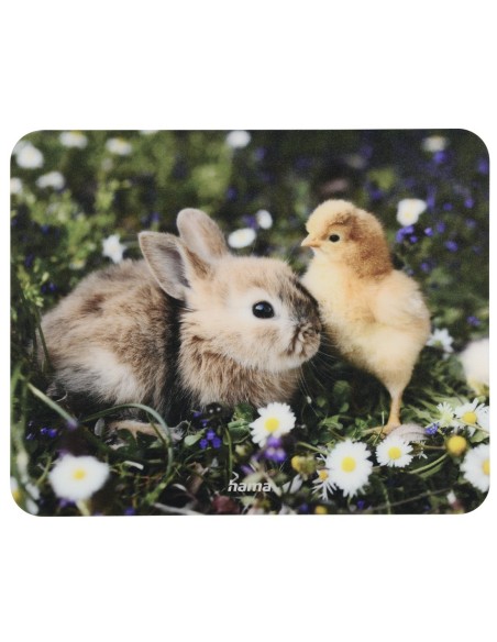 Hama | Kit maletín portátil, ratón, alfombrilla y webcam