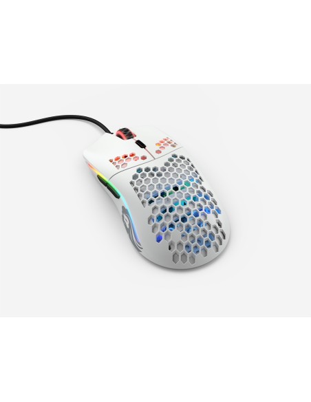 Glorious PC Gaming Race Model O ratón Juego mano derecha USB tipo A Óptico 12000 DPI
