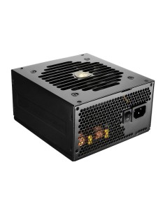 COUGAR Gaming GEX650 unidad de fuente de alimentación 650 W 20+4 pin ATX ATX Negro