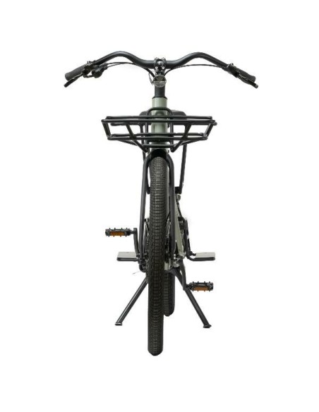 E BIKE C3 CARGO LONG  GREEN