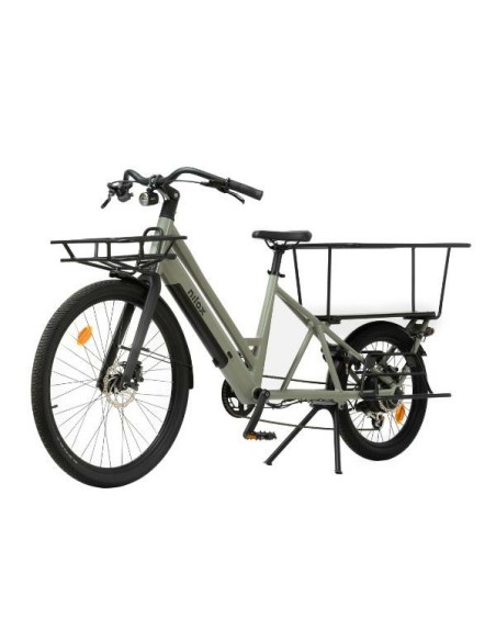 E BIKE C3 CARGO LONG  GREEN