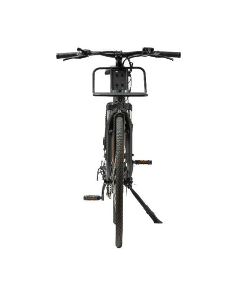 E BIKE C1 CARGO LIGHT  GREY