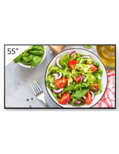 55 PRO BRAVIA LCD 550NIT