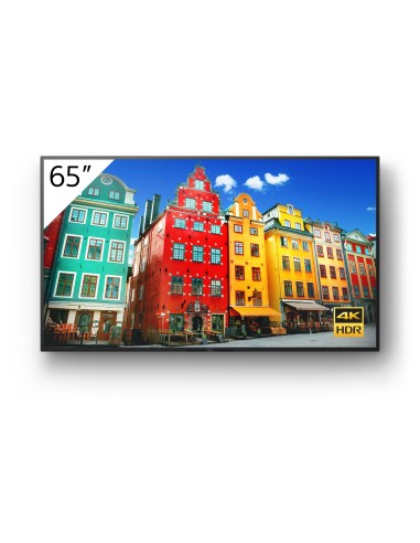 65 4K 24 7 PROFES. BRAVIA
