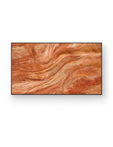 MONITOR PROFESIONAL SONY BRAVIA 98" FULL ARRAY LED RESOL.  4K   HDR   BRILLO 440   OPERACIÓN 24 7   HORIZ. APAISADO   CONTROL IP