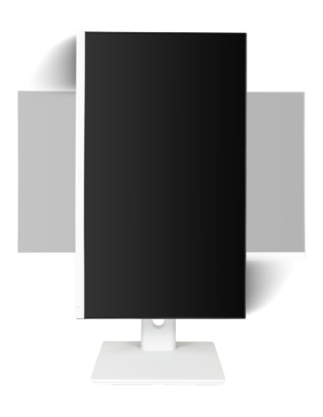 MONITOR 24 IPS REGULABLE MULT WEBCA