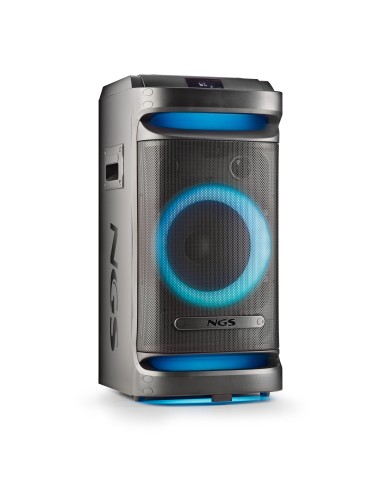 NGS Altavoz WILDSPACE1 900W BT