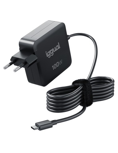 iggual Cargador portátil y móvil tipo C PD 100W