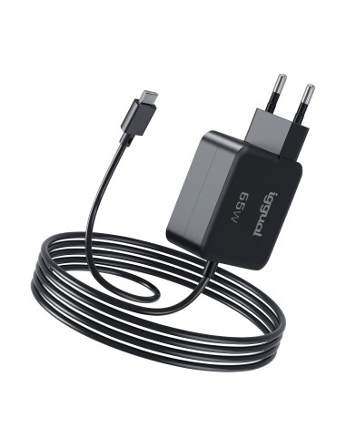 iggual Cargador portátil y móvil tipo C PD 65W