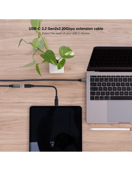 Nanocable Cable USB 3.2 GEN2x2 100W C M-H 2 m
