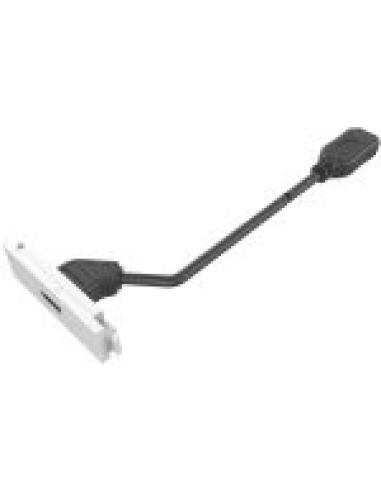 VISION MODULO DISPLAYPORT