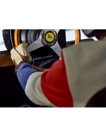 Thrustmaster Ferrari 250 GTO Vintage Add On