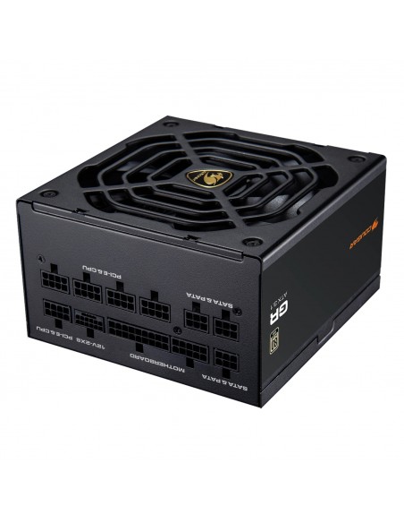Cougar Fuente Alimentación GR 1000w 80 Plus Gold