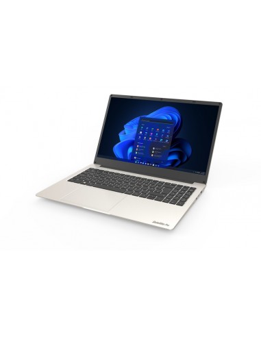 Dynabook Satellite Pro C50-J-12Z Portátil 39,6 cm (15.6") Full HD Intel® Core™ i5 16 GB DDR4-SDRAM 256 GB SSD Wi-Fi 5