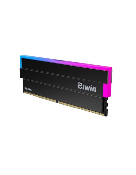 Biwin DW100 DDR5 6000 48GB CL28 (24*2) Black RGB
