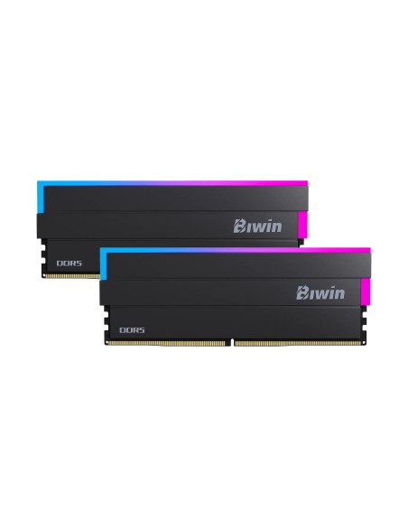Biwin DW100 DDR5 6000 48GB CL28 (24*2) Black RGB