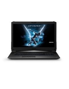 PORTATIL GAMING MEDION 30025322 X7861/17,3"/FHD/I7-8750H-HC-2,20-4,10GHZ/16GB/1TB+256GB/GTX1070-8GB/ - Imagen 1