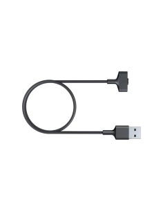 Fitbit FB-164RCC accesorio para registro de la actividad Cable carga Negro